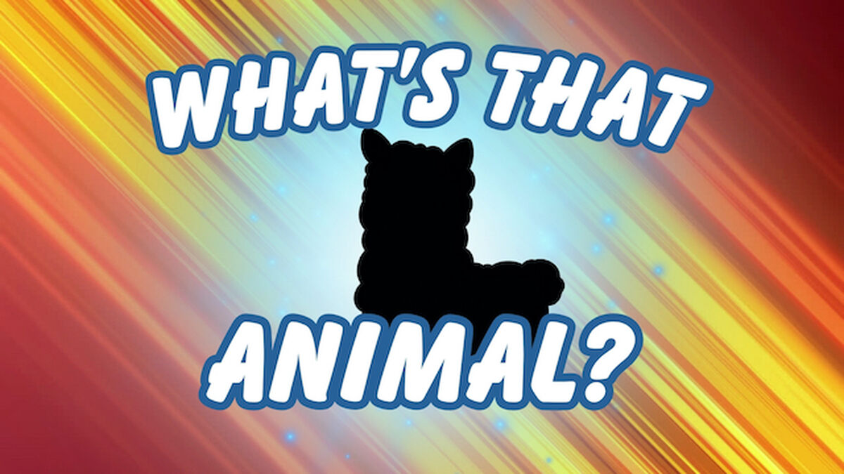 What's That Animal? image number null